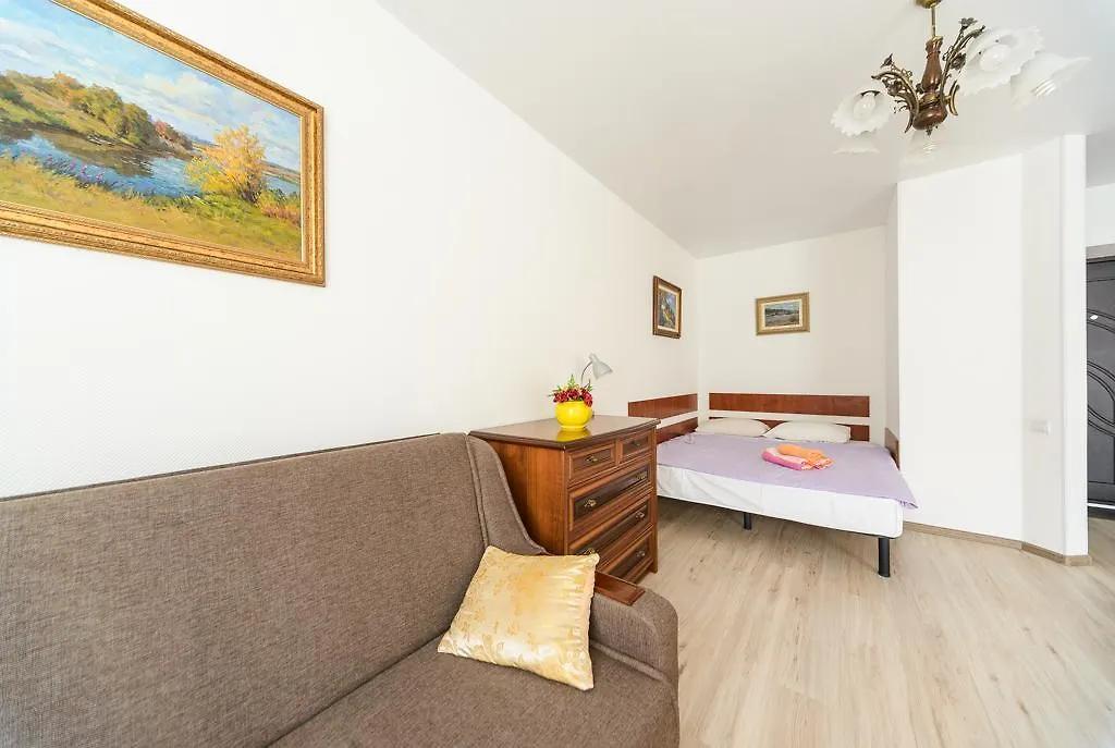 Comfortable Apartment Near Airport Zhulyny Киев